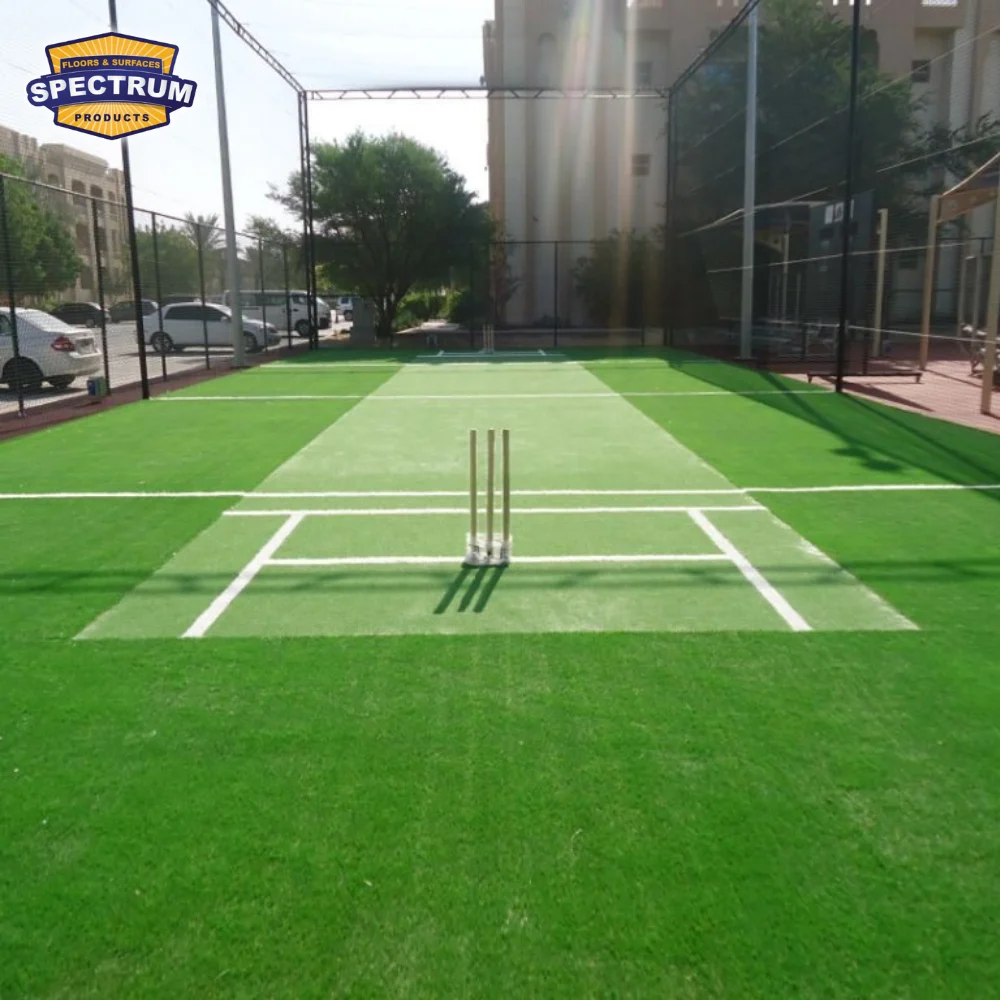 Cricket Ground